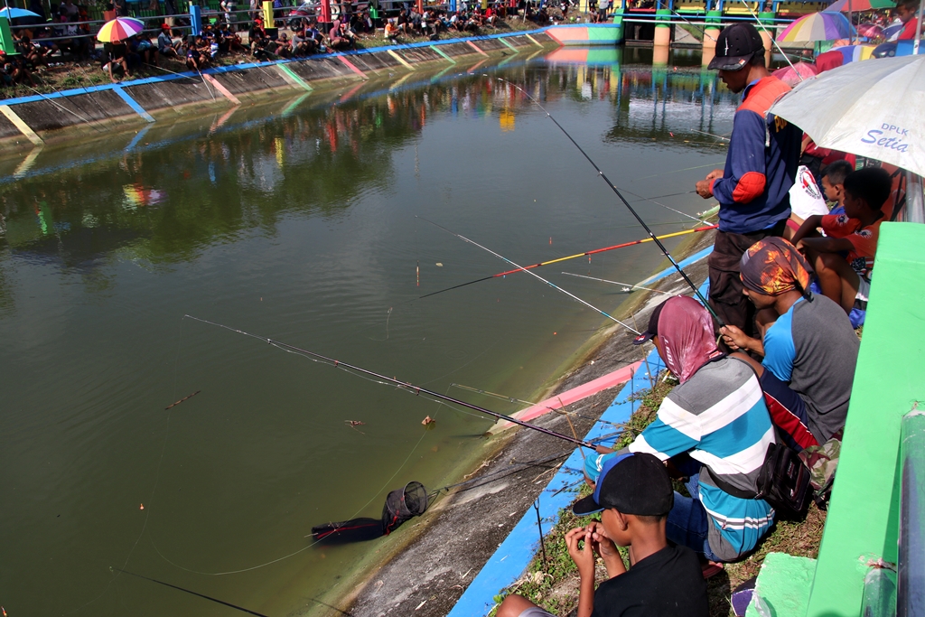 3 Cara Budidaya Kolam Wisata Pemancingan Gabus