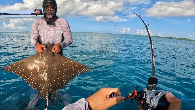 5 Tips Umpan Ikan Pari Laut Di Pemancingan Laut